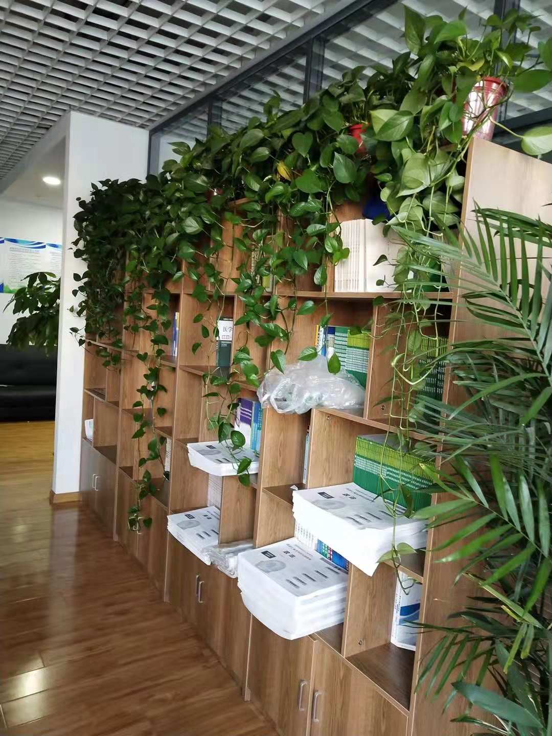 成考自考区别 成考自考区别